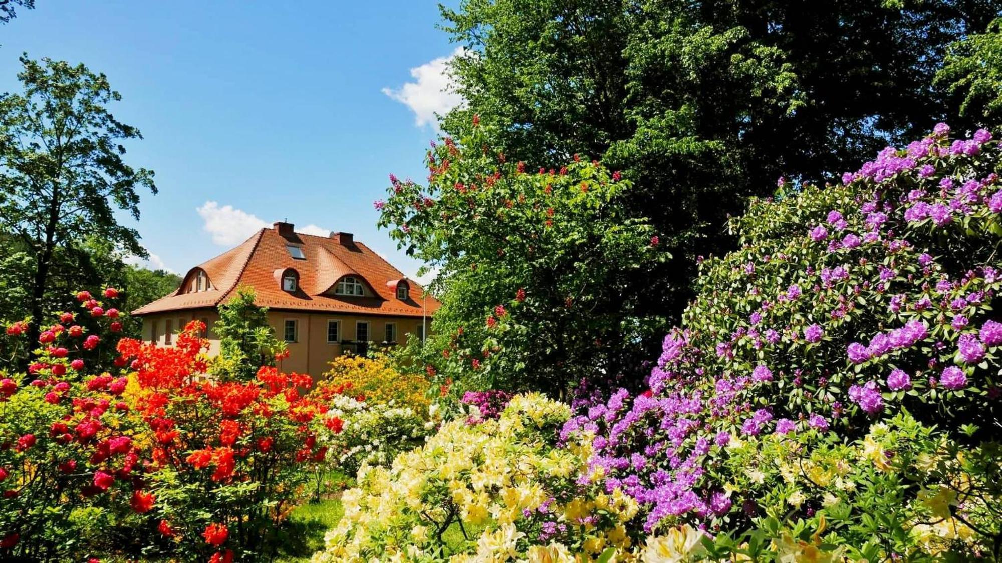 Rezydencja Grawert Boutique & Spa Лёндек-Здруй Экстерьер фото